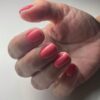 Gelpolish 03 Symphony | ANOLE - Afbeelding 2