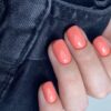 Gelpolish 12 Delicate | ANOLE - Afbeelding 2