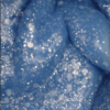 Iron Builder Gel 30 Chambray Blue | ANOLE - Afbeelding 5