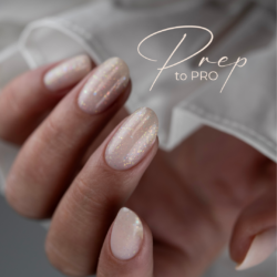 Prep to Pro.